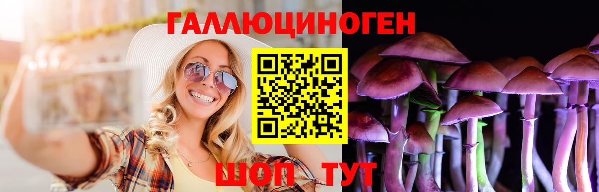 Галлюциногенные грибы GOLDEN TEACHER Горячий Ключ
